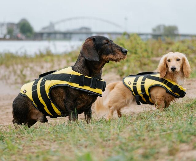 DACHSHUND LIFE JACKET hashteckel