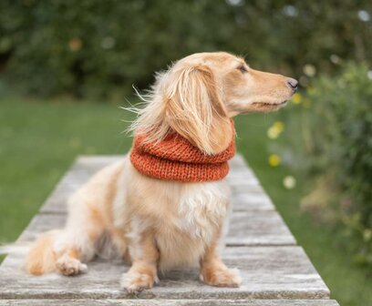 Dachshund turtleneck hotsell