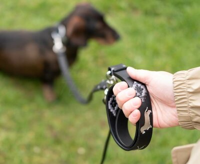 DACHSHUND DOUBLE LEASH | LEATHER | BLACK SILVER