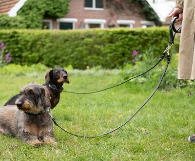 DACHSHUND DOUBLE LEASH | LEATHER | BLACK SILVER