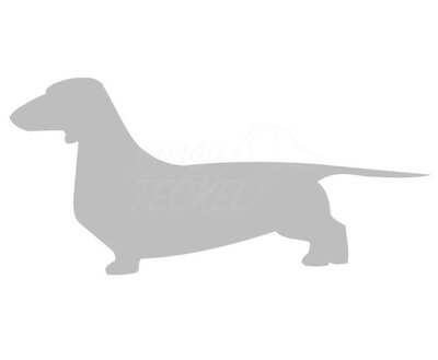 DACHSHUND STICKER | SHORT HAIR | SILVER