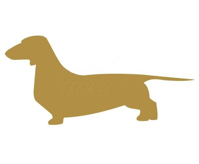 DACHSHUND STICKER | SHORT HAIR | GOLD