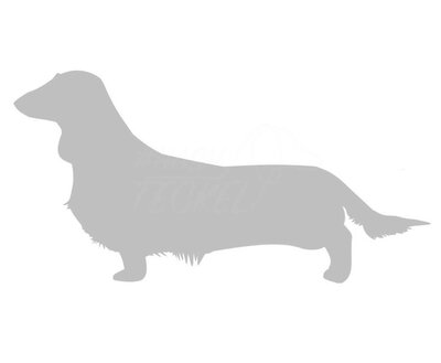 DACHSHUND STICKER | LONG HAIR | SILVER