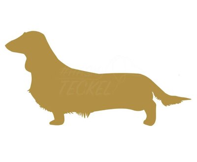 DACHSHUND STICKER | LONG HAIR | GOLD