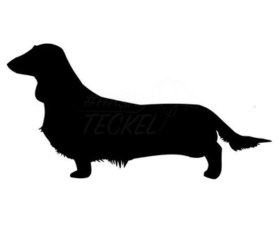 DACHSHUND STICKER | LONG HAIR | BLACK