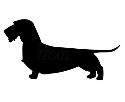 DACHSHUND STICKER | WIRED HAIR | BLACK