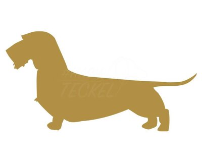 DACHSHUND STICKER | WIRED HAIR | GOLD