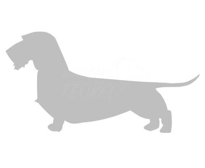 DACHSHUND STICKER | WIRED HAIR | SILVER