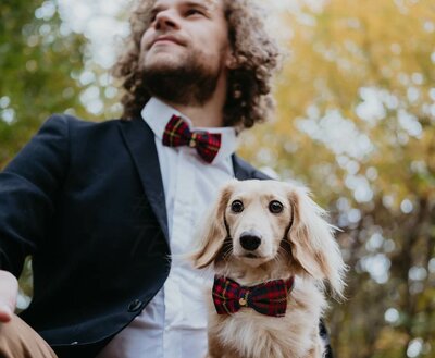 VLINDERDAS MET HALSBAND | VOOR HOND EN BAAS | ROOD BLAUW