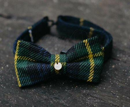 BOW TIE WITH COLLAR | FOR DOG AND PAWRENT | GREEN BLUE