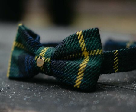 BOW TIE WITH COLLAR | FOR DOG AND PAWRENT | GREEN BLUE