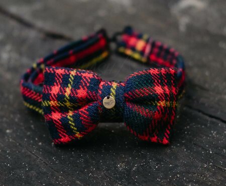 BOW TIE WITH COLLAR | FOR DOG AND PAWRENT | RED BLUE