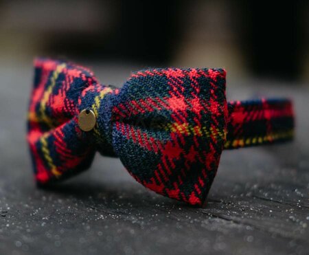 BOW TIE WITH COLLAR | FOR DOG AND PAWRENT | RED BLUE